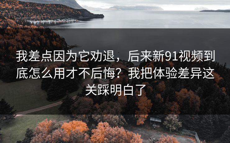 我差点因为它劝退，后来新91视频到底怎么用才不后悔？我把体验差异这关踩明白了